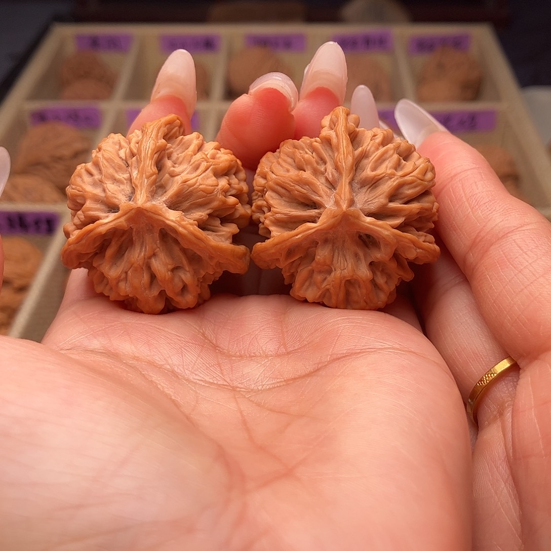 文玩核桃把件秦公子三棱