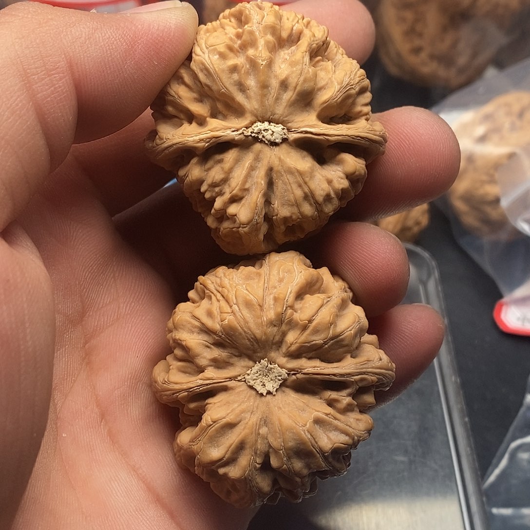 文玩核桃把件铁*真粗筋44