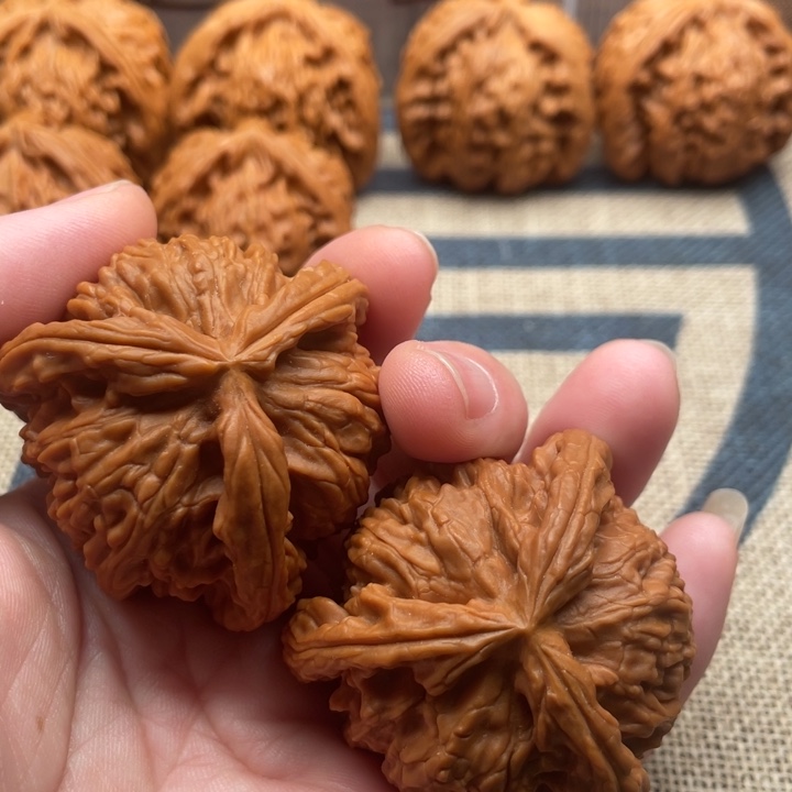 0***5核桃白狮子43核桃