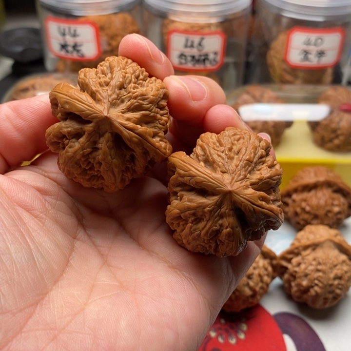 文玩核桃吊坠38粗筋