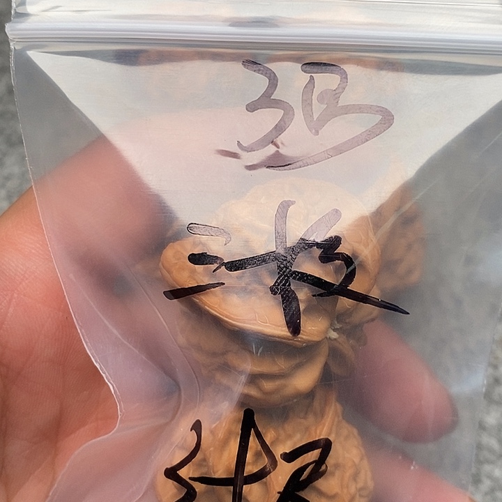 文玩核桃吊坠三棱