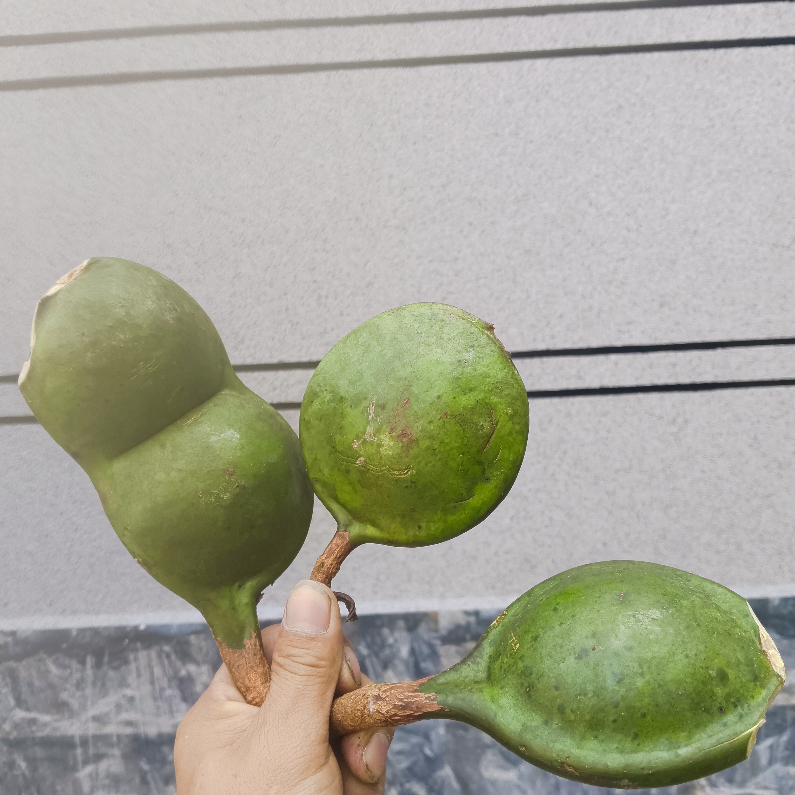平安豆 手工摆件挂件