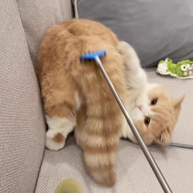 宠物痒痒挠猫咪狗互动逗猫棒猫犬通用多功能便携式可伸缩抓痒神器