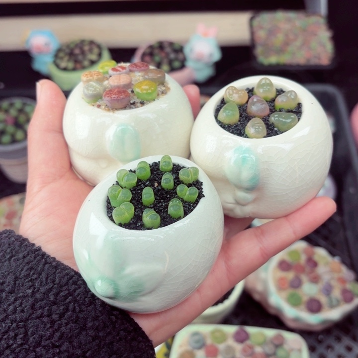 589零下地区记得拍保温小满18包邮