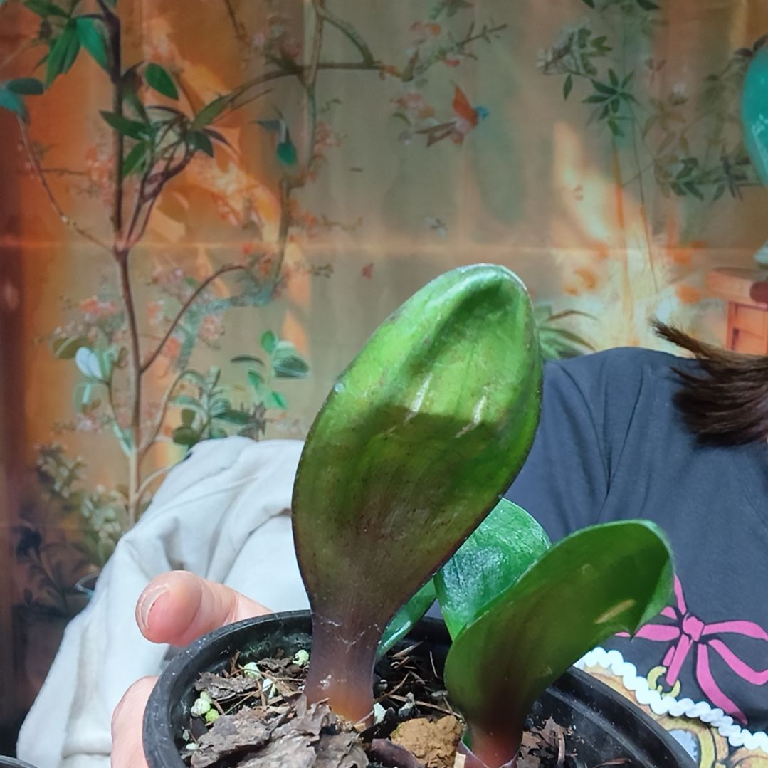 嘿***姐完全开放1111111111111