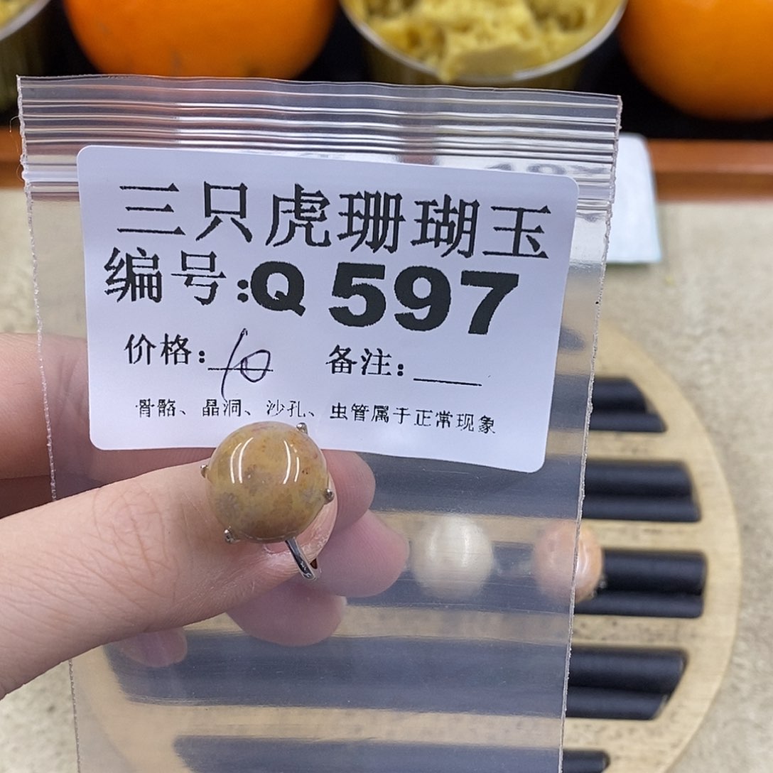 硅化珊瑚（珊瑚玉）1未镶嵌薰****道