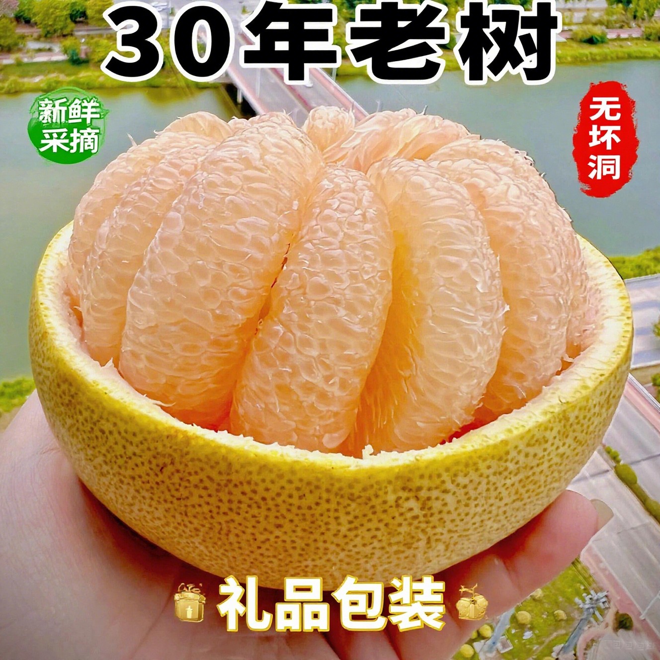 度尾文旦柚新鲜多汁香甜爆汁适合孕妇的应季水果园新鲜采摘直发礼