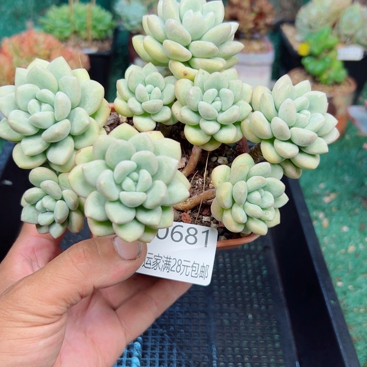 幸运的是我还没遇到