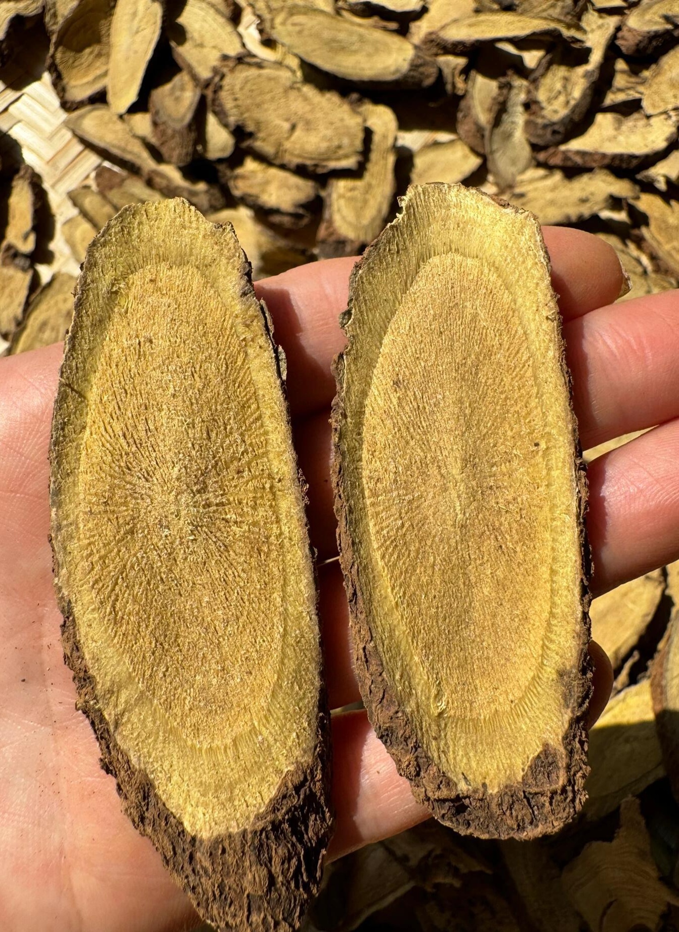 ［老甘草］甘肃深山采挖老中药材甘草切片可搭配枸杞大枣泡水饮用