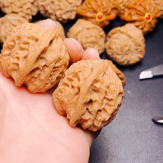 大叶紫檀（黑酸枝木类）淞*