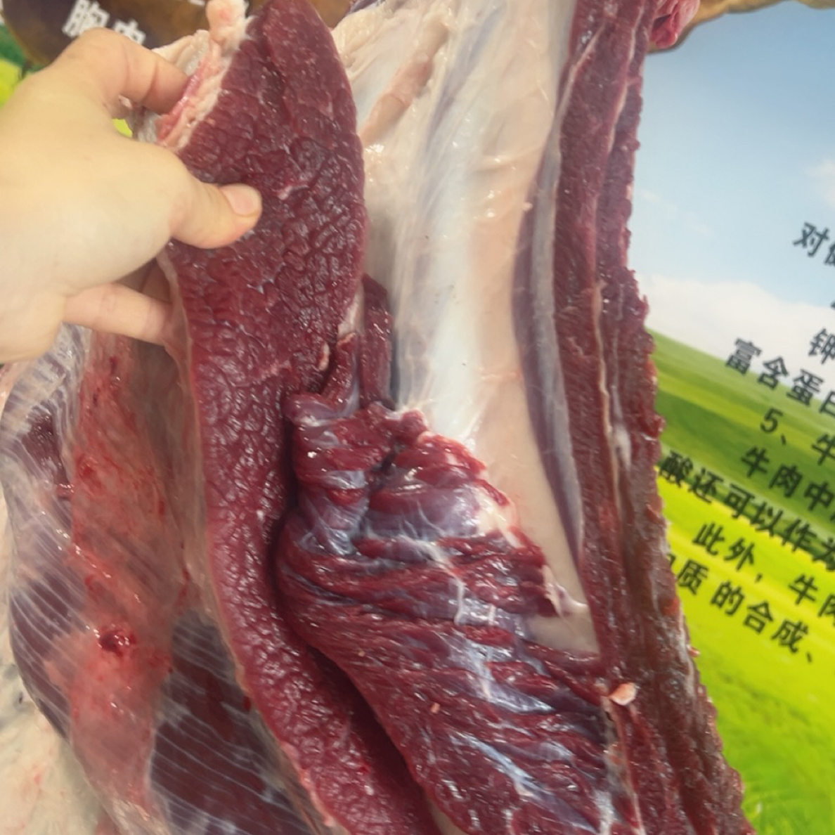 原切牛排新鲜原切牛肋排高原牦牛肉可炖可烤