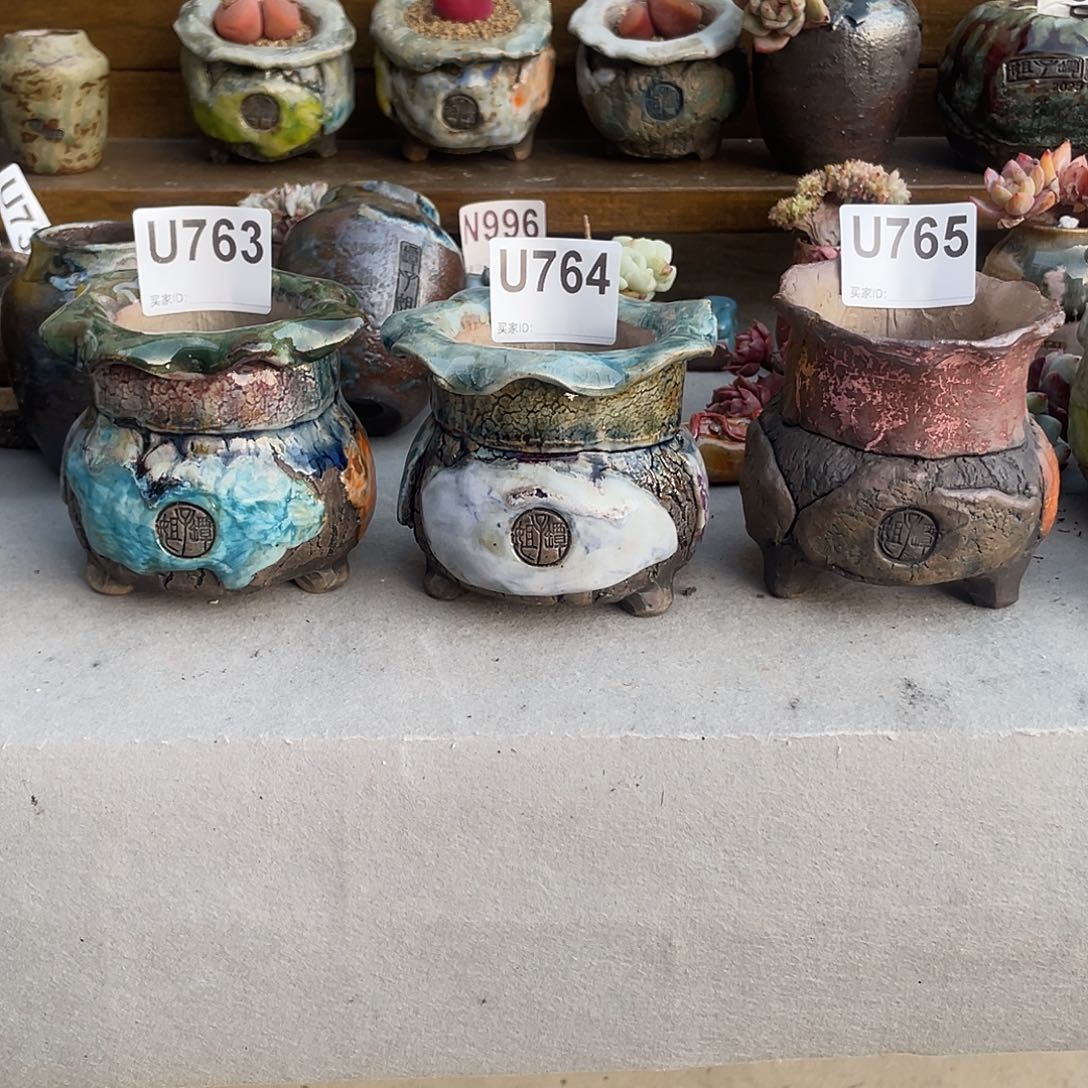 妞***坛子姐多肉花盆内口