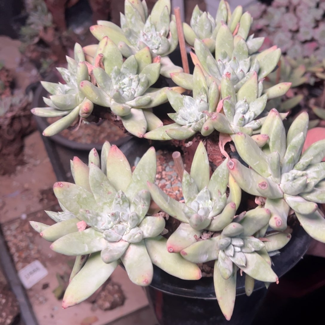 ?****?2872哈哈哈哈哈哈哈哈