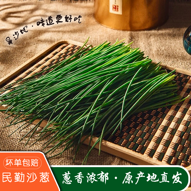 顺丰民勤沙葱沙漠特产新鲜现摘现发1斤2斤3斤5斤坏果包赔zb