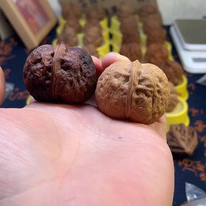 文玩核桃把件9龙珠元宝42