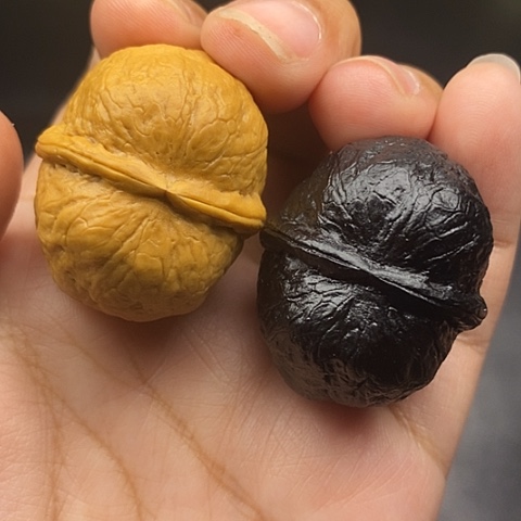 文玩核桃把件37尺寿星元宝