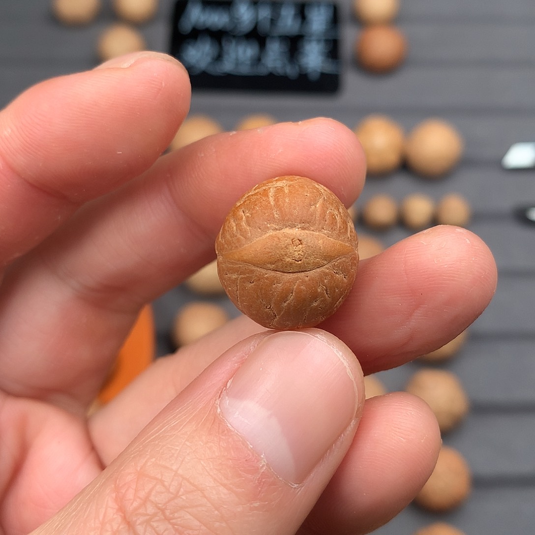 吊坠凤眼菩提嗨****！18+凤眼，非质量问题开孔不退