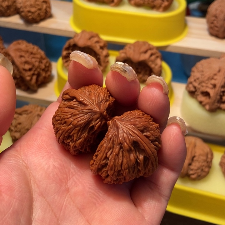 官方网站发布消息显示