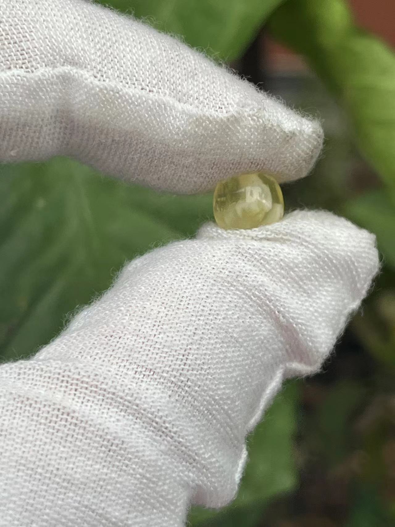 2629天然蜜蜡琥珀老型墩子7.7x6.7mm