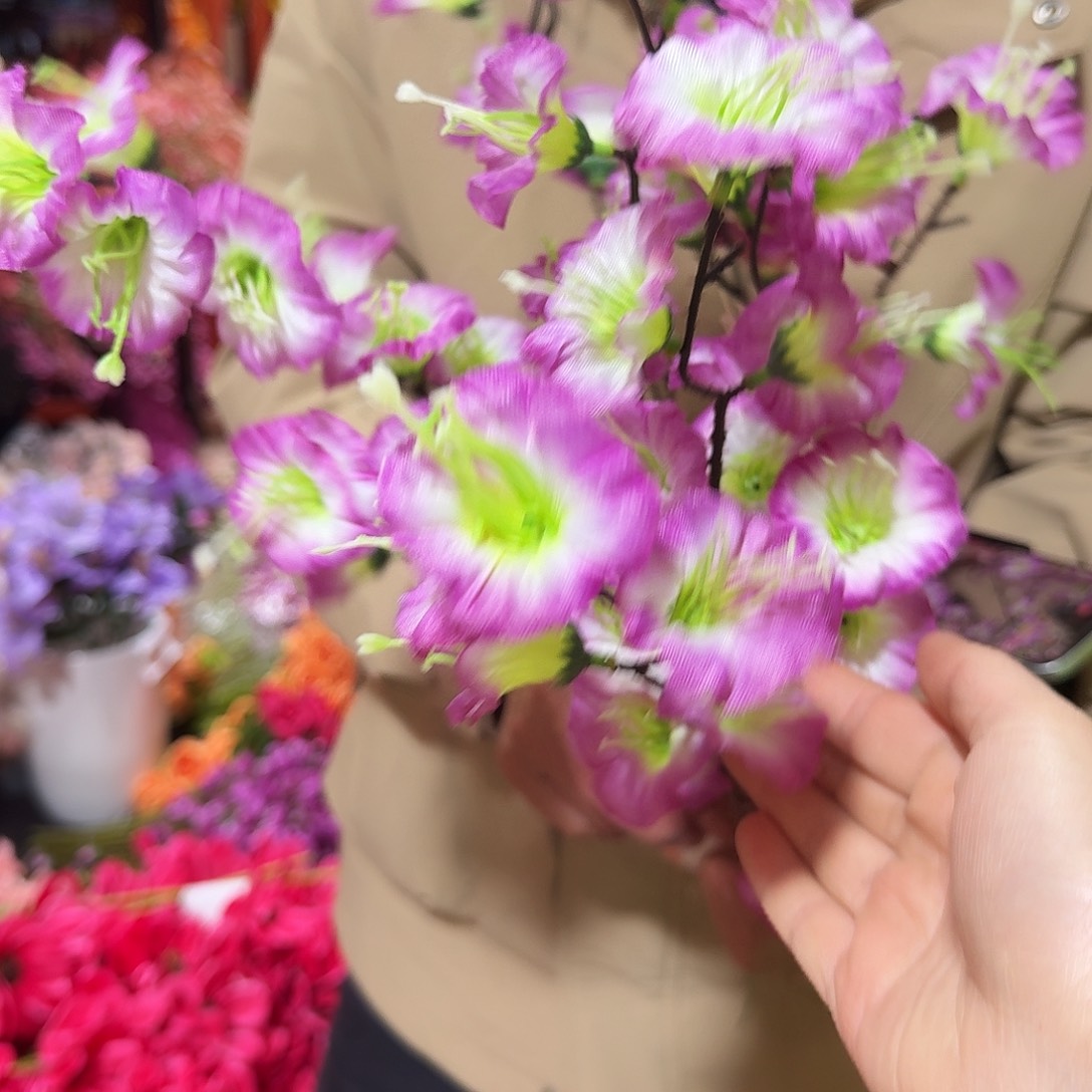 紫色牵牛花10枝装