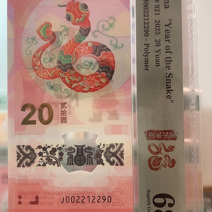 塑料朦胧号0129，三对子