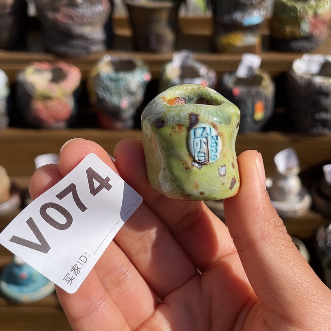 坛子姐花盆 小白孤品 拇指 内口1.7左右