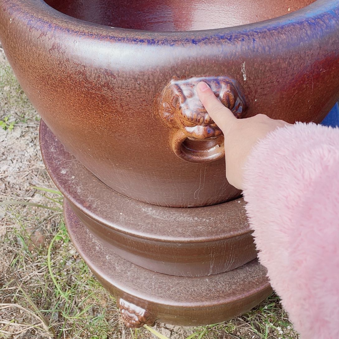 缸瓷器瓷器52高度32瓷器