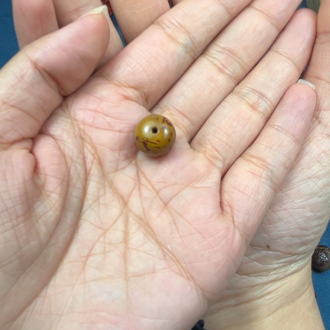 玛瑙/玉髓颈饰未镶嵌卢**、