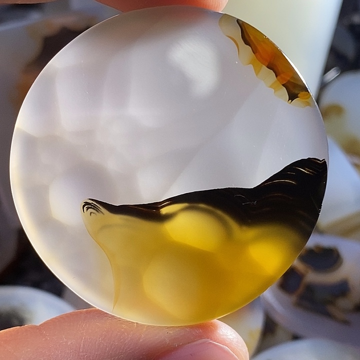 未镶嵌颈饰玛瑙/玉髓