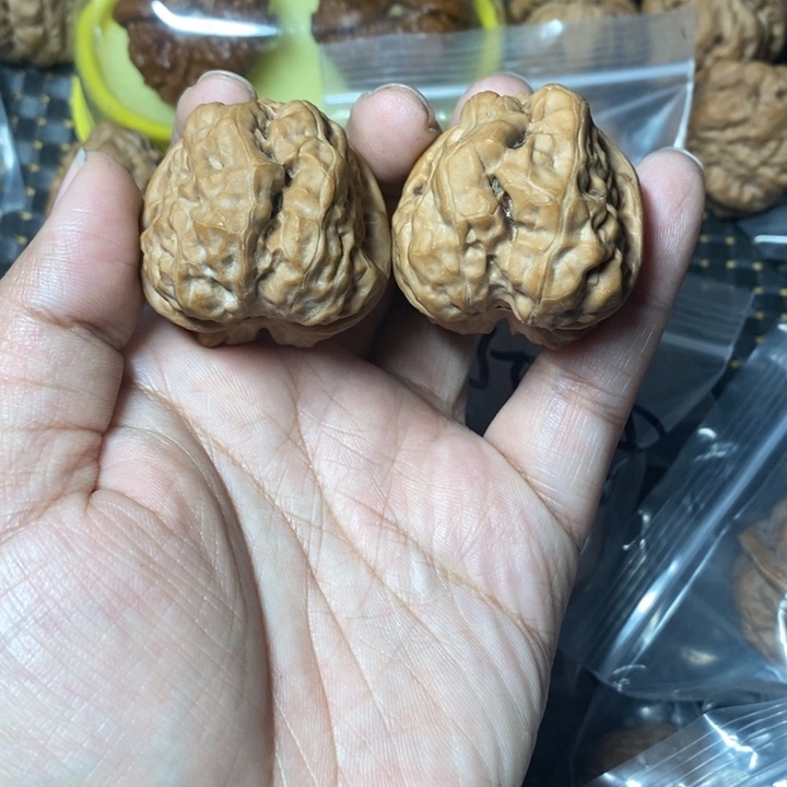 文玩核桃把件蛤蟆38