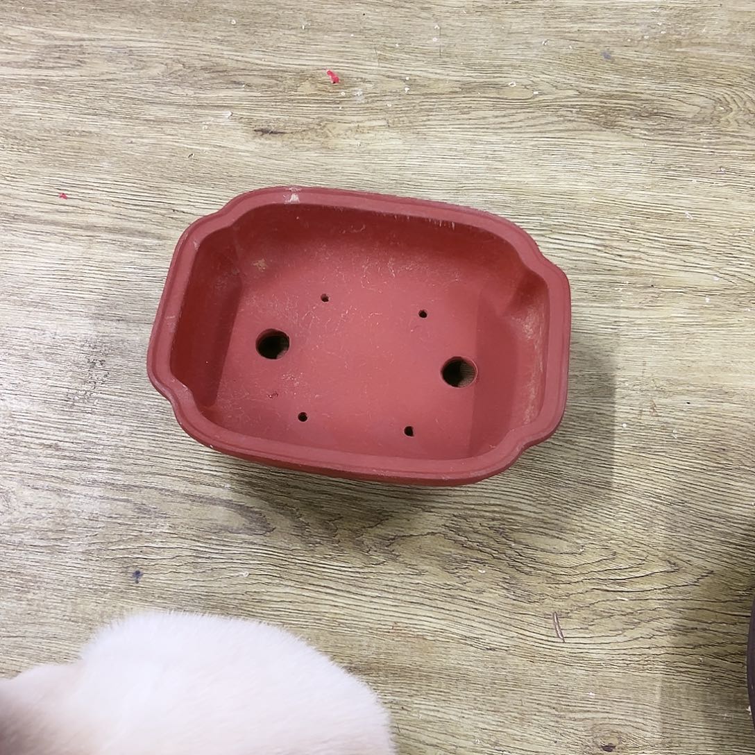 风***吹对你的喜欢就如同这日子只增不减542