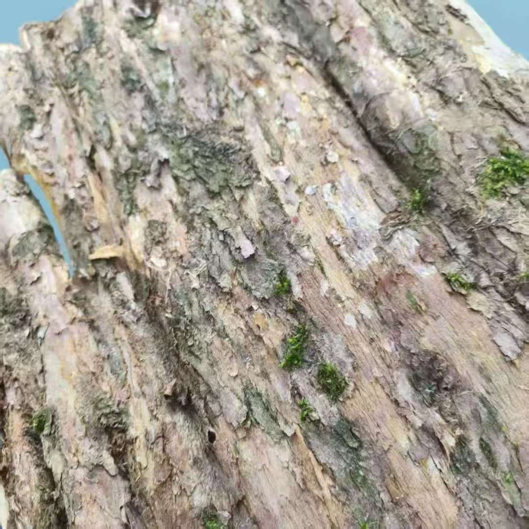 红豆杉树皮【袁瑞泽推荐】