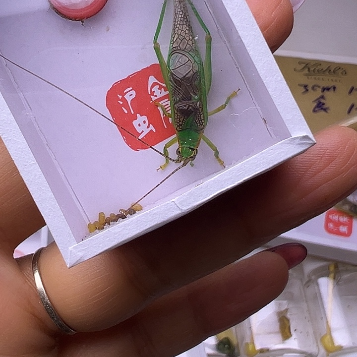 旦***舍哈哈哈哈哈哈哈哈哈哈哈哈哈哈哈