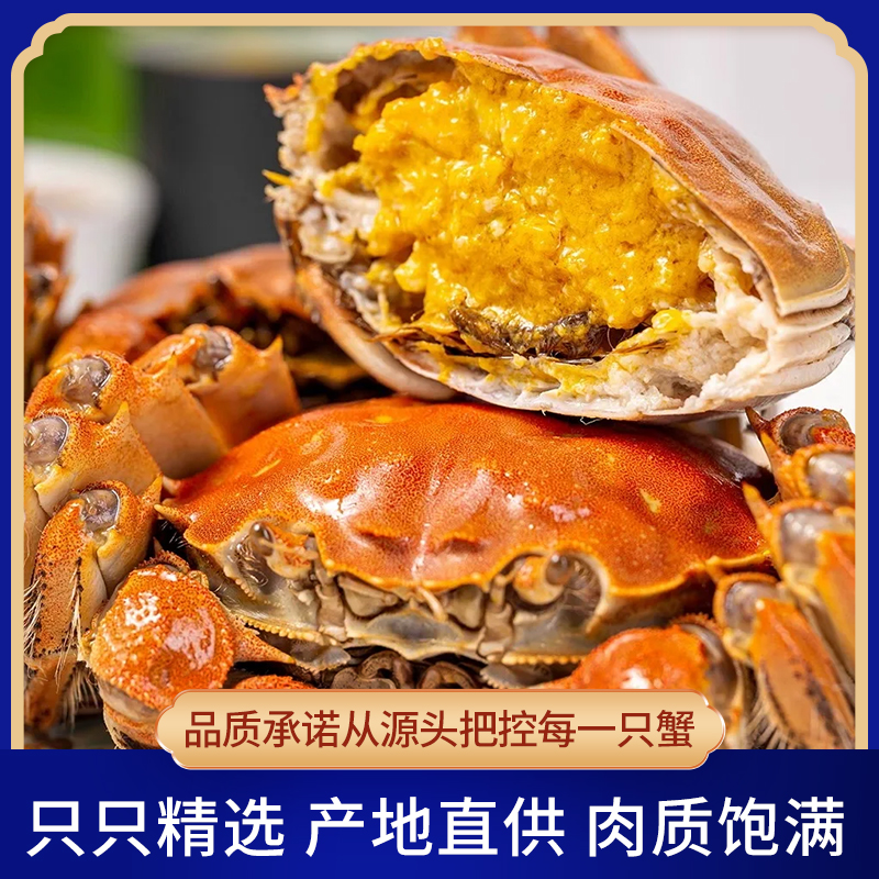 【活蟹】盘锦河蟹【公母混】母1.7-1.4两 （8只）+公2-1.7两（8只 ）活发