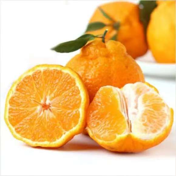 四川耙耙柑春见水果新鲜现摘香甜大果