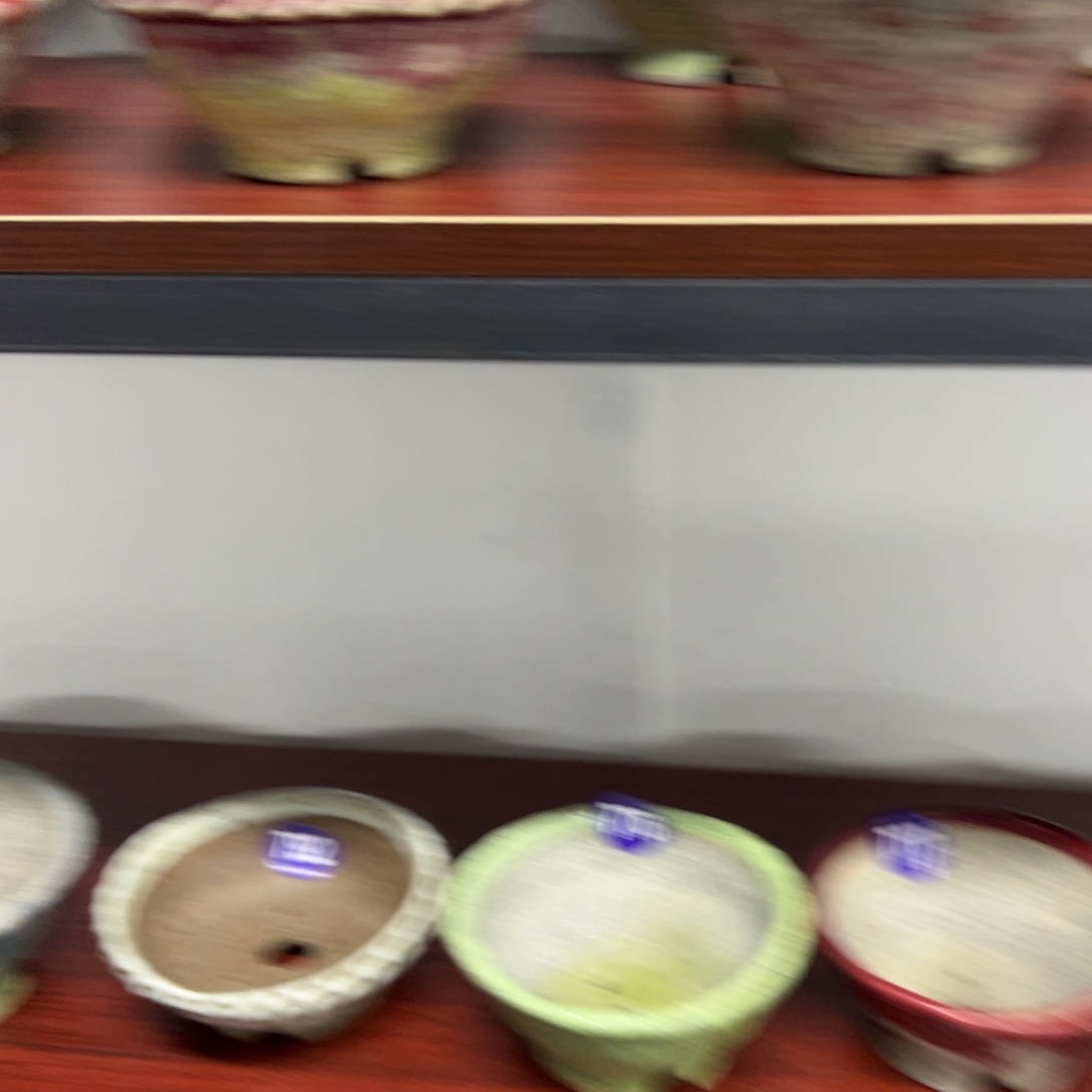 红陶红红火火过大年