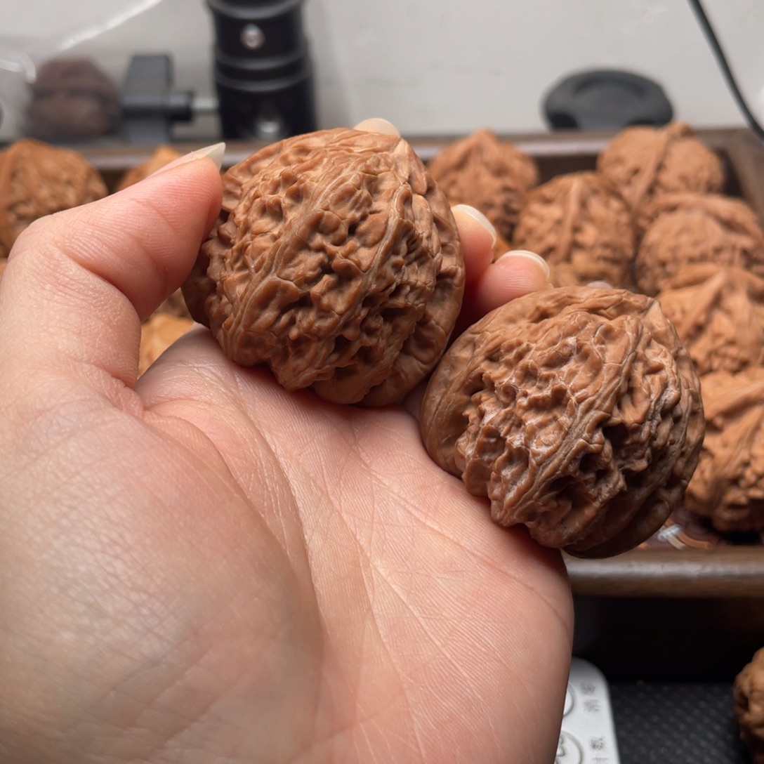 秋****手串/手链核桃白狮子43尺全品