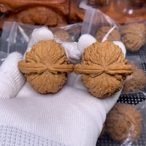 文玩核桃把件白狮子46全品