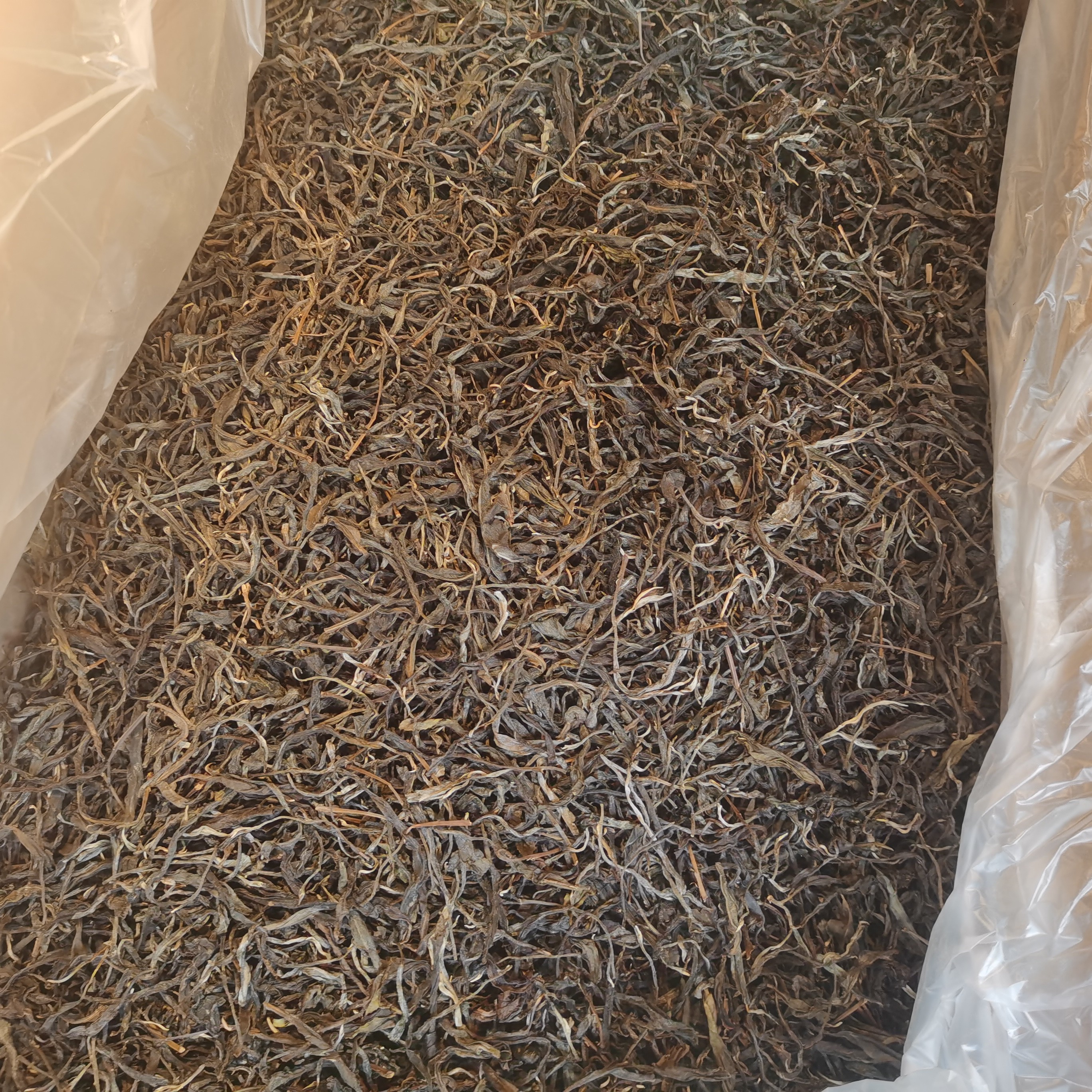 [尝鲜价]1盒100克装]天门山产区散茶2024年春（品鉴装不支持退货）