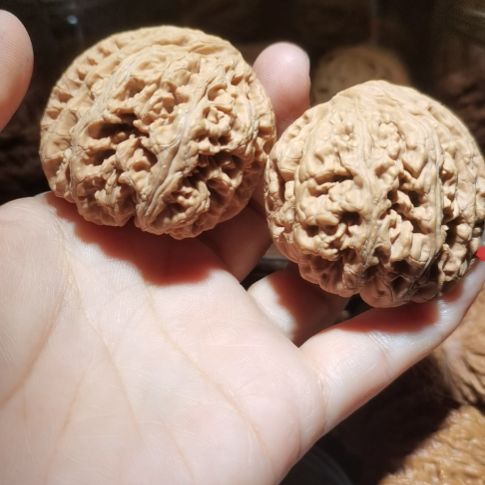 猴头核桃吊坠48粗筋