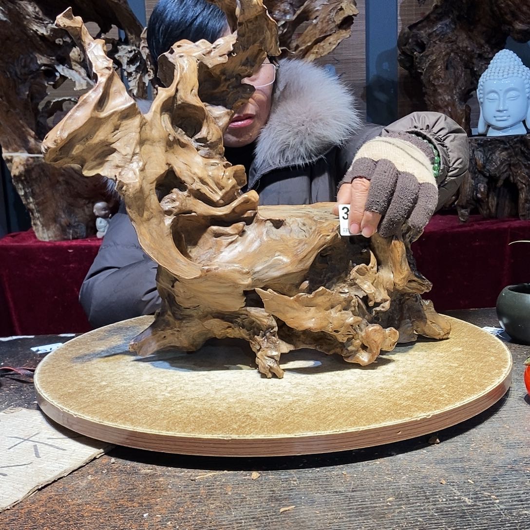 书***延378。株木随行根艺