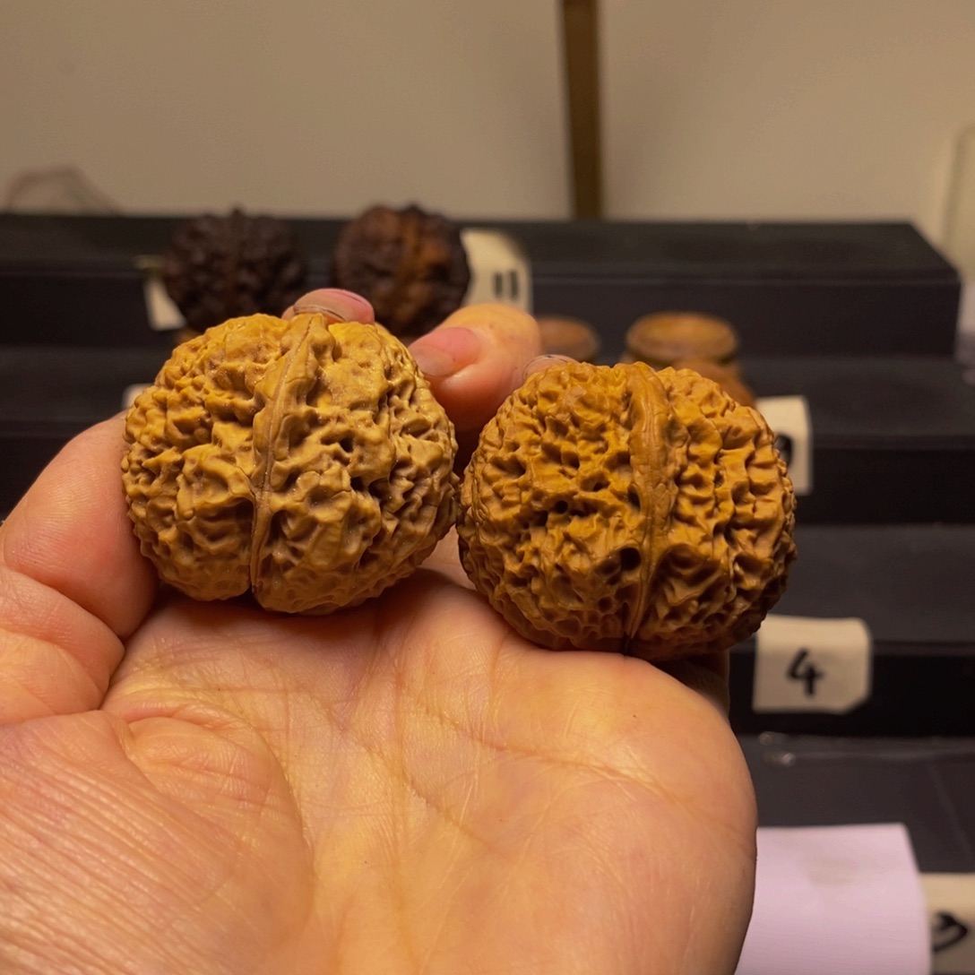 吊坠文玩核桃龙脊绣球39