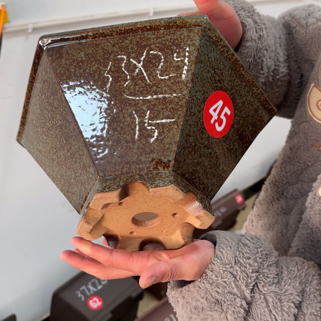 紫砂花盆呜呜呜呜