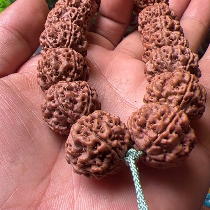 金刚菩提手串大****线20蜂窝双龙