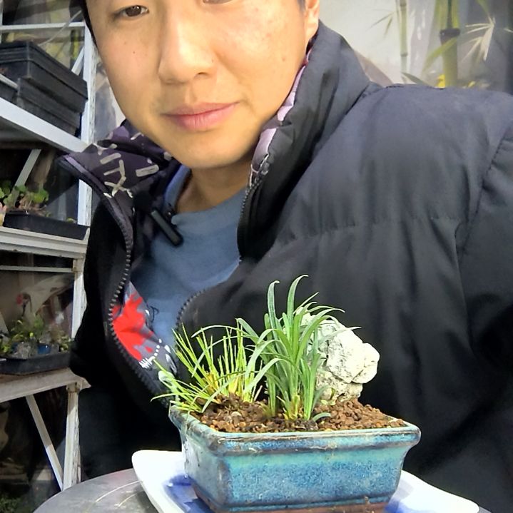 土****皮中青园艺一物一拍花292