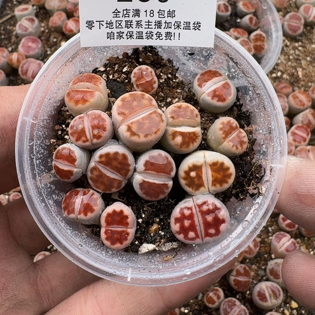 280满18 包邮保温袋联系客服