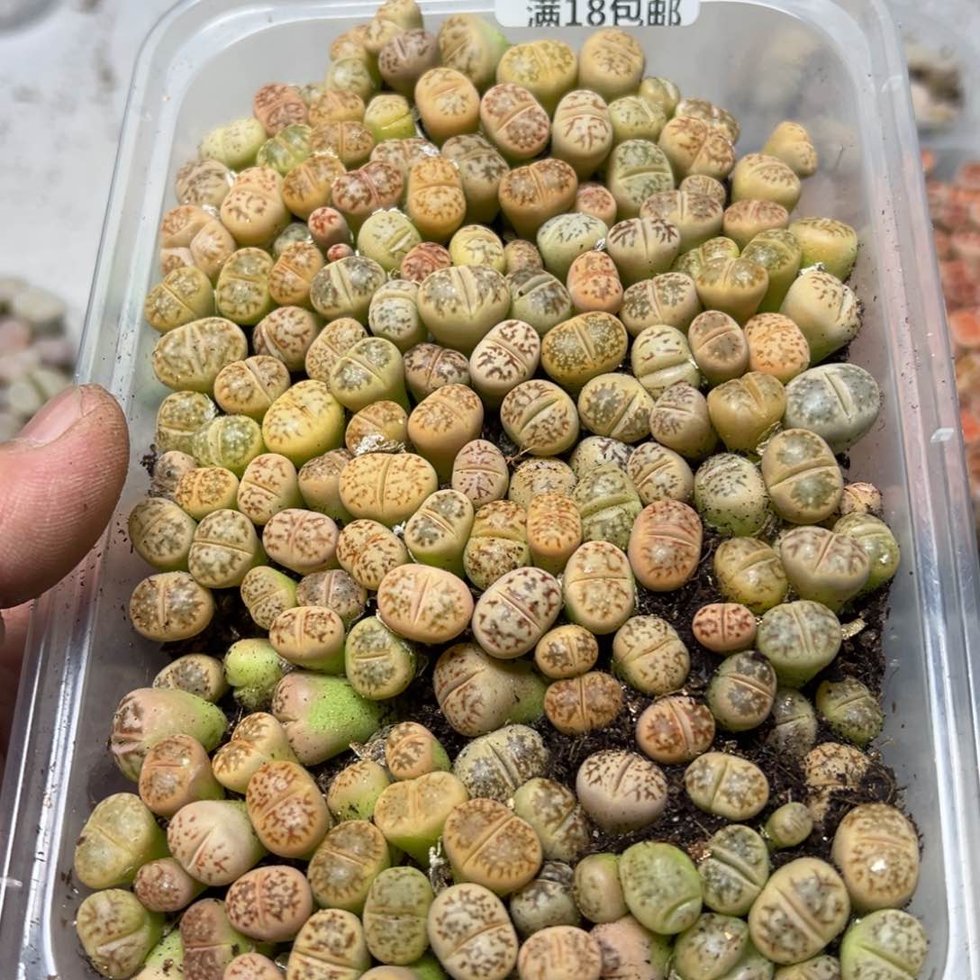 【闪购商品】189。     