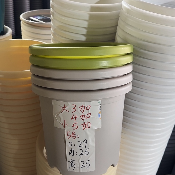 四季5#口径29果绿5个无托