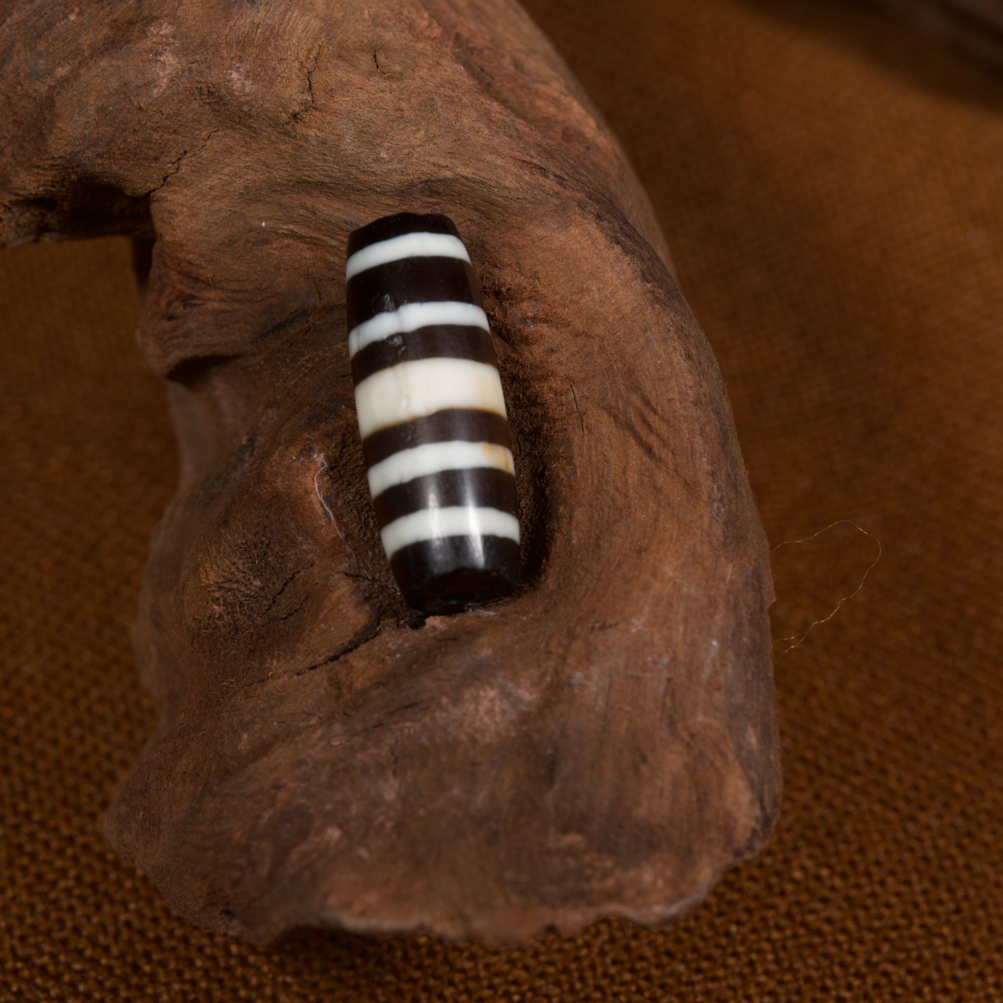 镶蚀玛瑙五条珠-珠体圆融-黑白分明-全品-支持评级