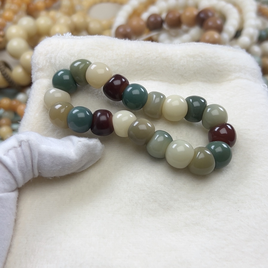 菩提根/象牙果吊坠13机抛肠606